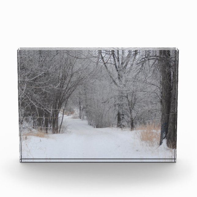Bloc Photo Solitude d'hiver (Devant)