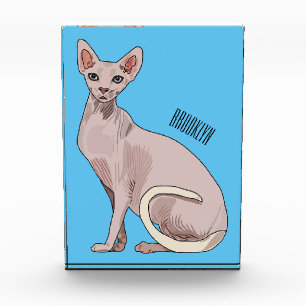 Bloc Photo Sphynx cat