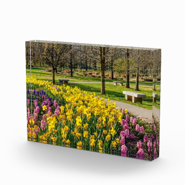 Bloc Photo Spring Season Flower Garden (Droite)