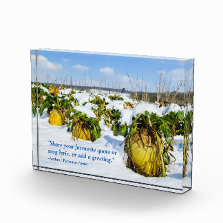 Bloc Photo Squash d'hiver en neige - Personnalisé