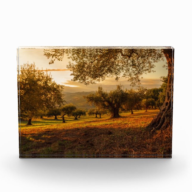 Bloc Photo Sunset Hills Arbres d'automne (Devant)