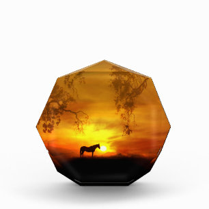 Bloc Photo Superbe Horse Belle Décor Art Bloc