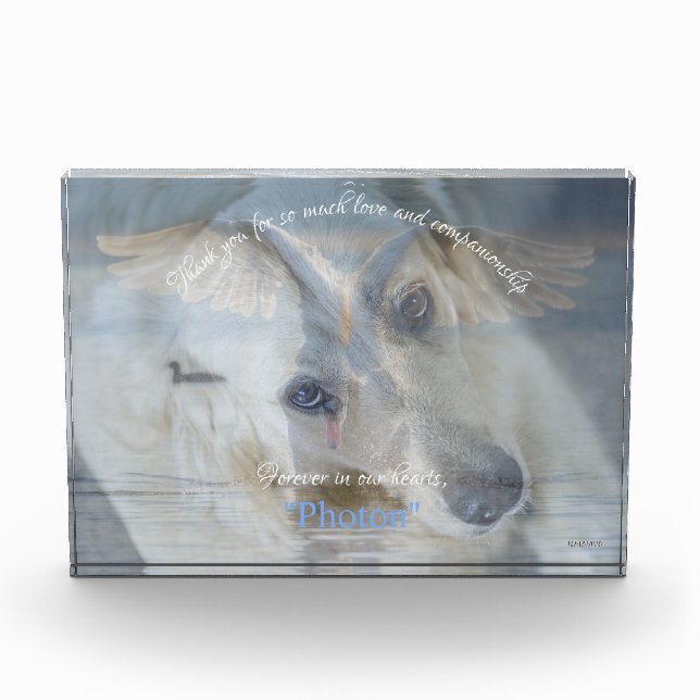 Bloc Photo Superposition d'image transparente du cygne photo  (Devant)