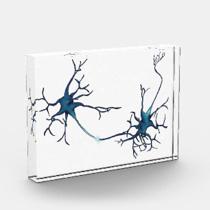 Bloc Photo Synapse Entre Neurons, Neuroscience Neuron