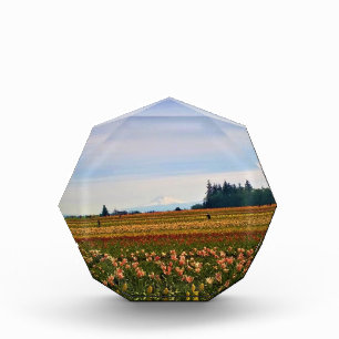 Bloc Photo Terrain de tulipe avec Mt Hood, Oregon