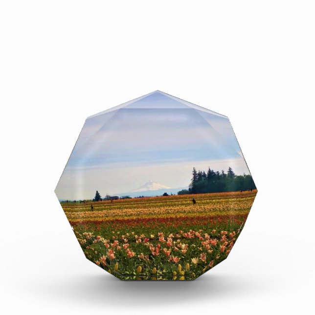 Bloc Photo Terrain de tulipe avec Mt Hood, Oregon (Devant)