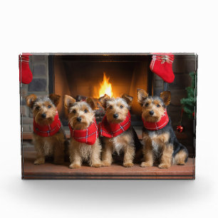 Bloc Photo Terrier Australien au coin du feu de Noël