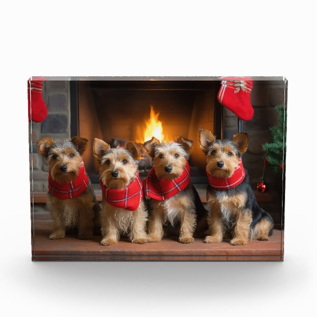 Bloc Photo Terrier australien près du feu Noël (Devant)