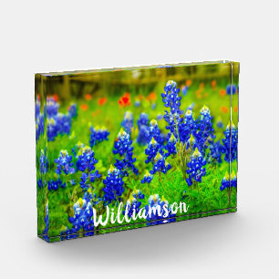 Bloc Photo Texas Bluebonnets Indian Paintbrush Nom de famille