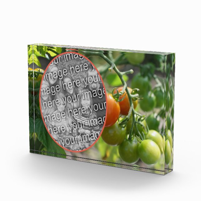 Bloc Photo Tomates de cerises de jardin Ajouter votre propre (Droite)