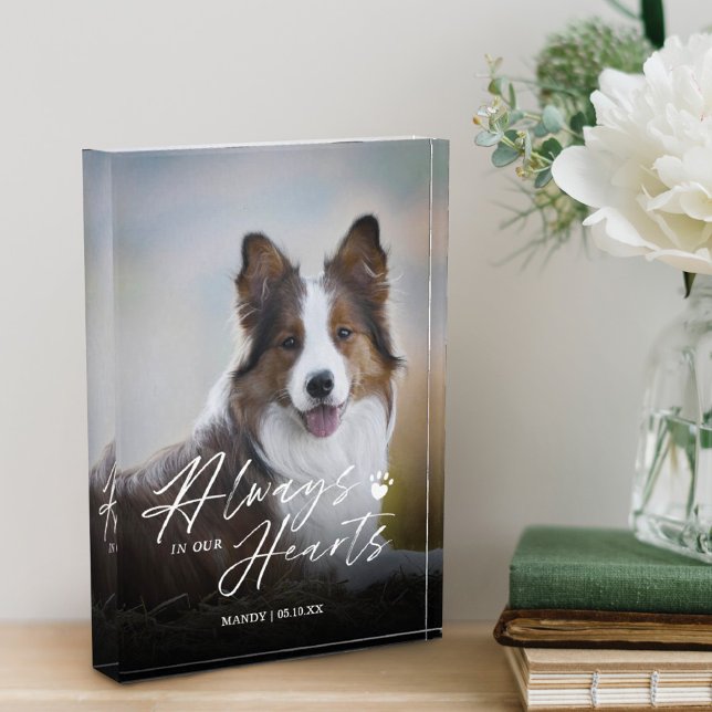 Bloc Photo Toujours dans nos coeurs Pet Photo Memorial (Créateur téléchargé)