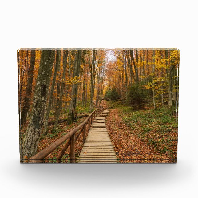 Bloc Photo Traverser la forêt d'automne. (Devant)