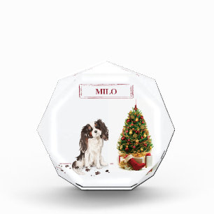 Bloc Photo Tri-Color King Charles Spaniel Drôle chien de Noël