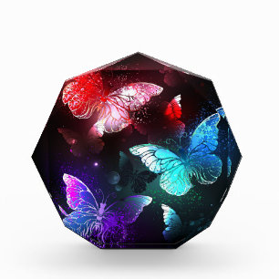 Bloc Photo Trois papillons brillants sur l'arrière - plan de