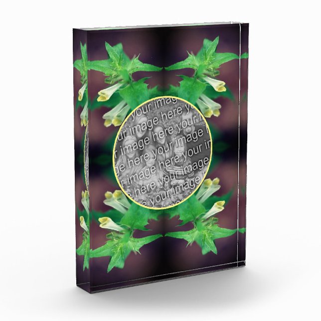 Bloc Photo Un Fleur sauvage blanc minuscule Créez votre propr (Gauche)