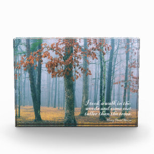 Bloc Photo Une balade dans les bois