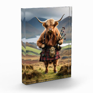 Bloc Photo Vache des Highlands écossais sonneur de cornemuse,