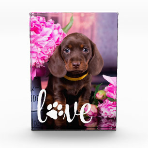 Bloc Photo Valentines Day LOVE Personnalisé Animaux Amoureux 