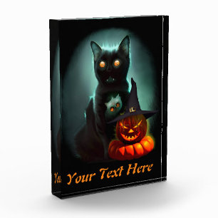 Bloc Photo Vampire Chat et Assistant Citrouille Halloween Sur