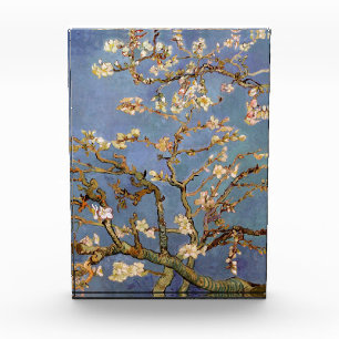 Bloc Photo Van Gogh Almond Blossom