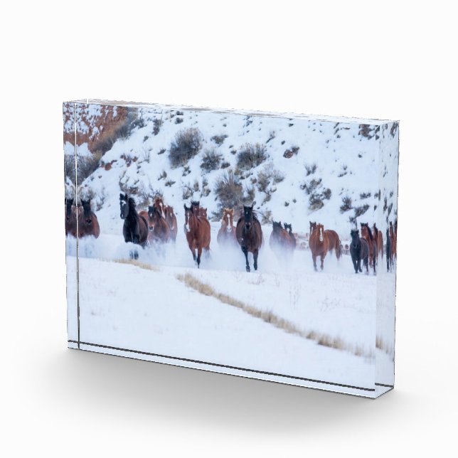 Bloc Photo Voiture Cowboy | Hideout Ranch Shell, Wyoming (Droite)