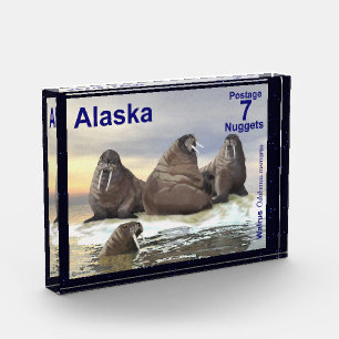 Bloc Photo Walrus - Quatre Frères - Alaska Postage