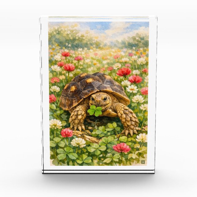 Bloc Photo Watercolor Sulcata Tortoise with lucky clover (Devant)