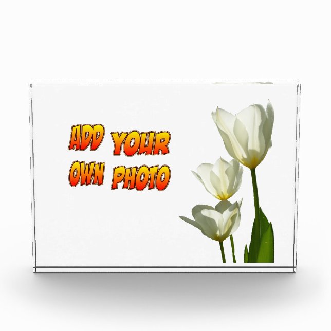 Bloc photo White Sunny Tulips (Devant)