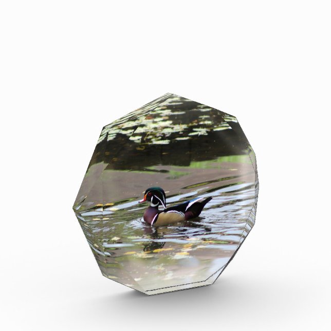 Bloc photo Wild Duck (Gauche)