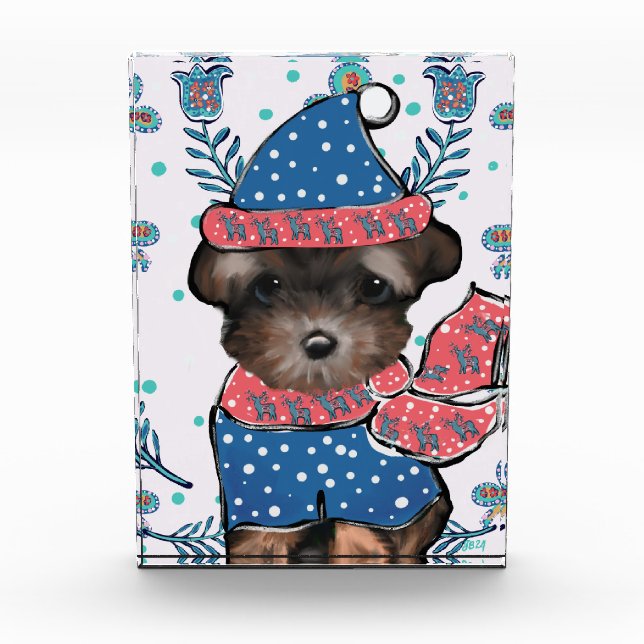 Bloc Photo Yorkie Poo  (Devant)