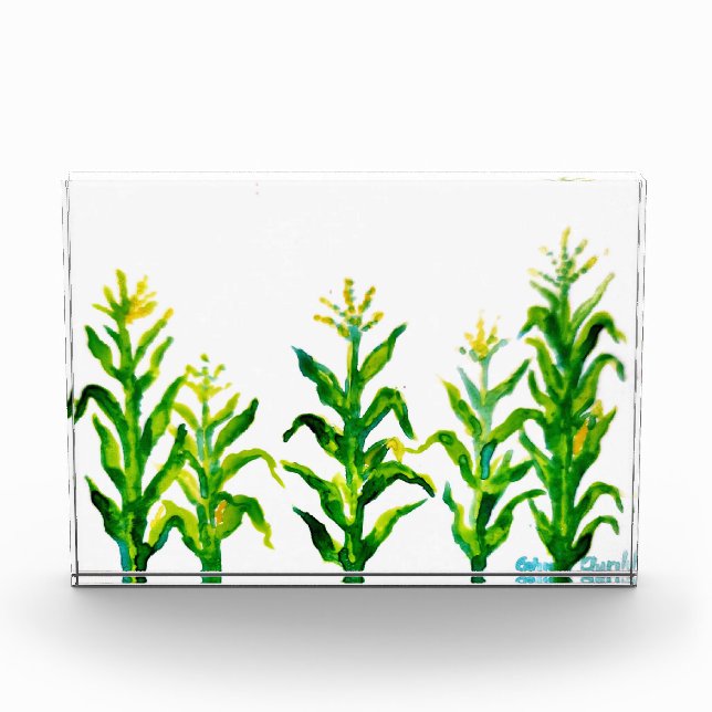 Bloc Photo Zea mays (Devant)