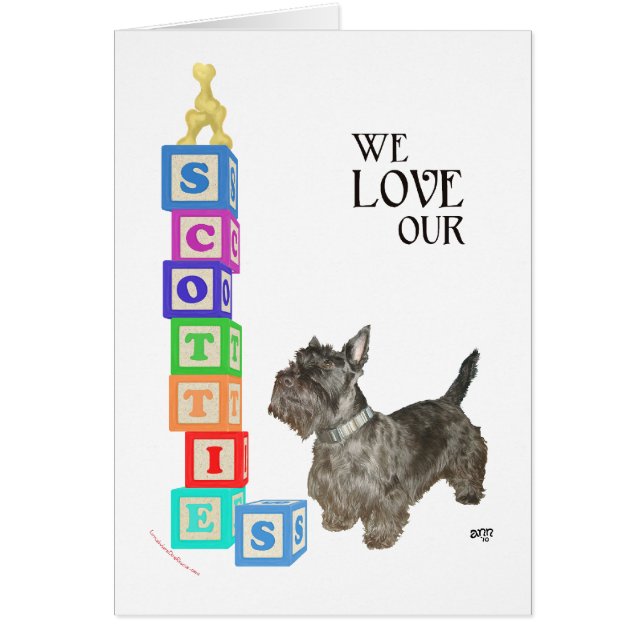 Blocs alphabet Scottie (Devant)