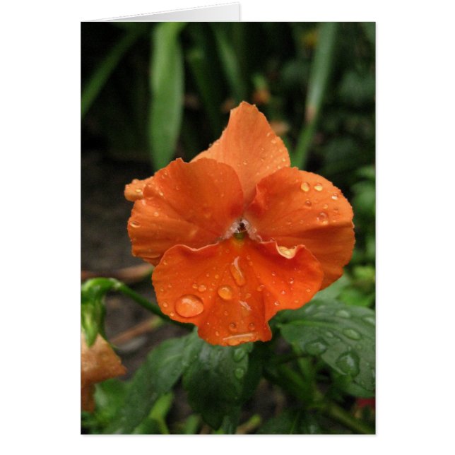 Blocs Raindrops Blank_Orange (Devant)
