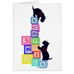 Blocs Scottie