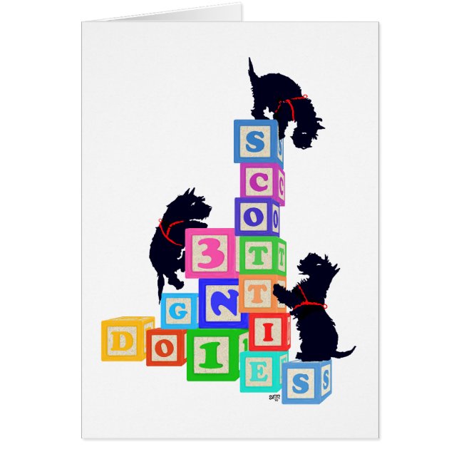 Blocs Scottie (Devant)