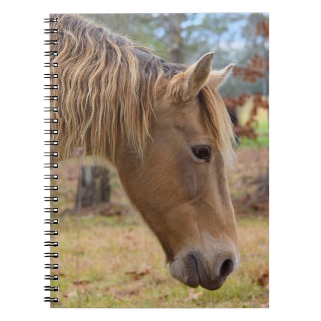 Blonde Beauty Horse Carnet (Devant)