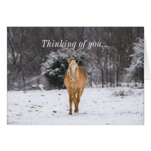 Blonde Horse Marcher Dans La Neige Penser De Vous