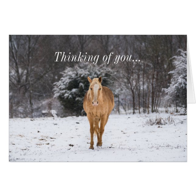Blonde Horse Marcher Dans La Neige Penser De Vous (Devant Horizontal)