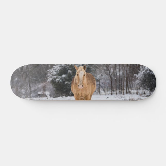 Blonde Horse Walk Dans Le Skateboard De Neige (Horz)