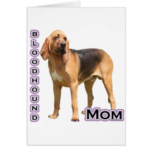 Bloodhound Maman 4