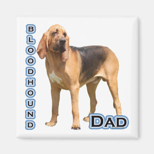 Bloodhound Papa 4 - Aimant