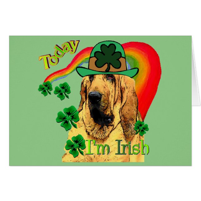 Bloodhound Saint Patricks (Devant horizontal)