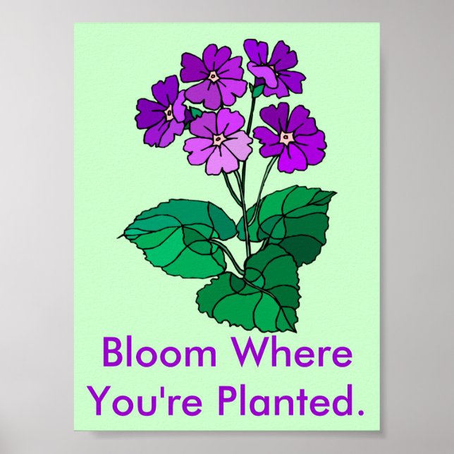 Bloom là où vous êtes planté Poster (Devant)