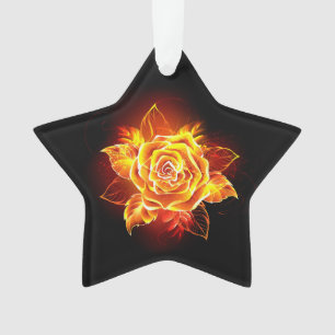 Blooming Fire Rose