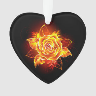 Blooming Fire Rose