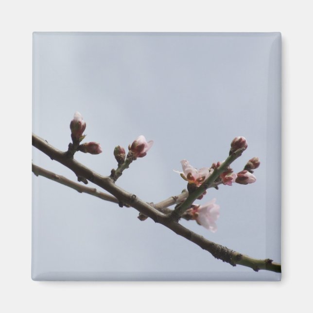 Blossom Branch Magnet (Devant)