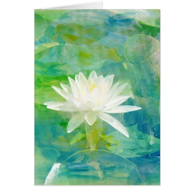 Blossom Nénuphar blanc (Devant)