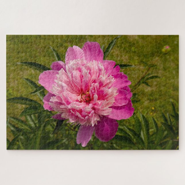 Blossom Reverie – Puzzle de jardin de 1014 pièces (Horizontal)