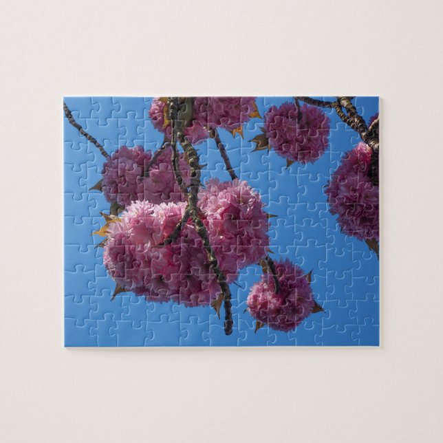 Blossom rose, Ciel bleu - Puzzle (Horizontal)