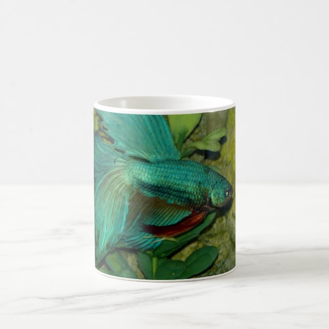 Blue Betta aquarium de poisson Mug (Centre)